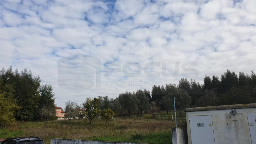 Terreno para Venda em Águeda e Borralha Foto 2