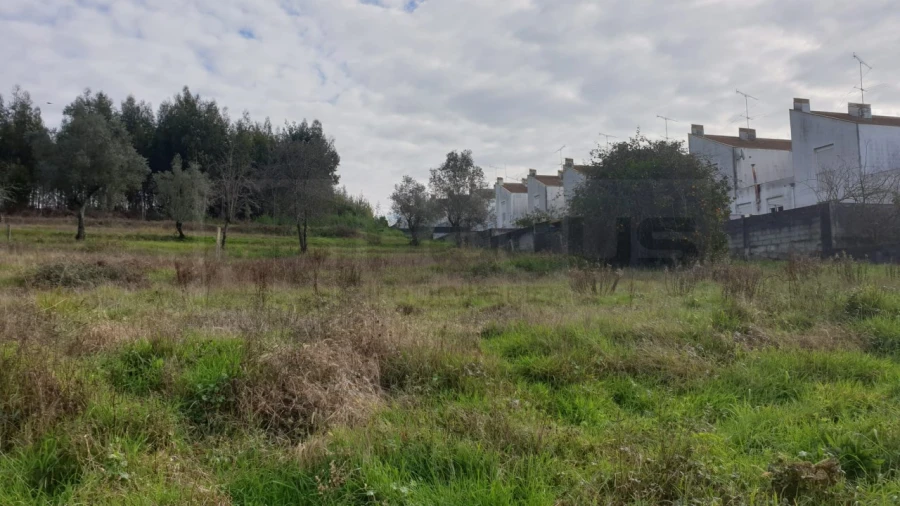 Terreno para Venda em Águeda e Borralha Foto 3