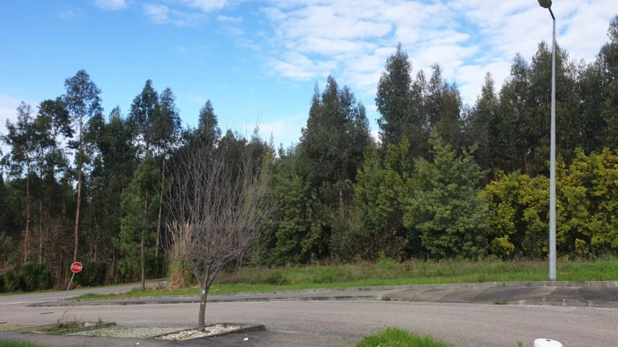Terreno para Venda em Águeda e Borralha Foto 4