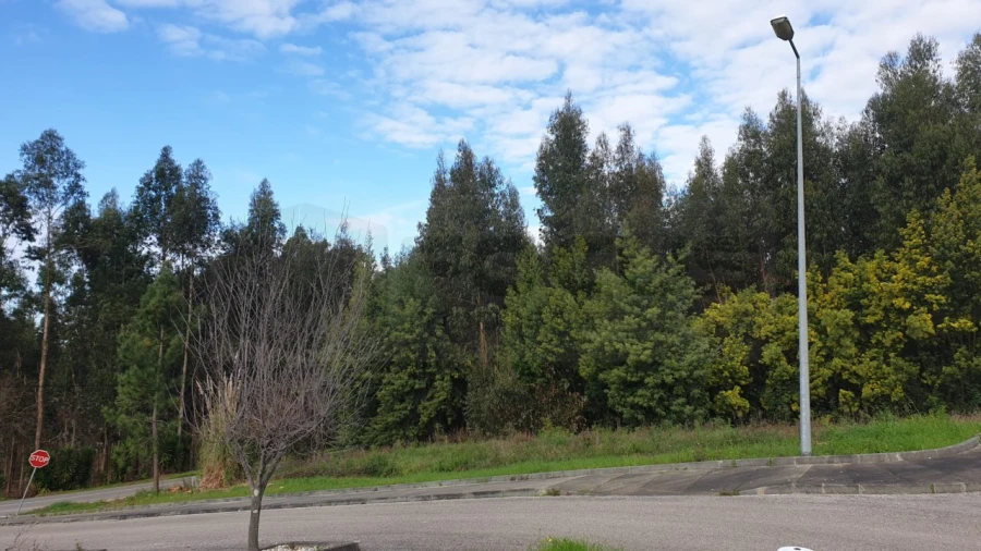 Terreno para Venda em Águeda e Borralha Foto 5