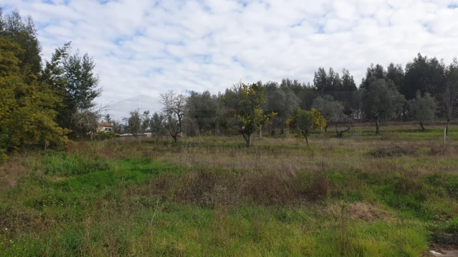 Terreno para Venda em Águeda e Borralha Foto 7