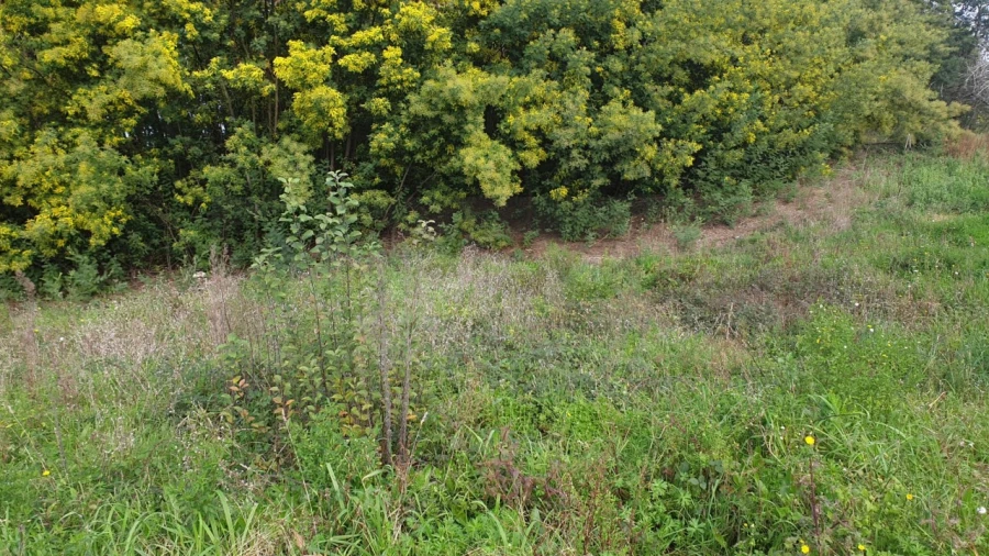 Terreno para Venda em Águeda e Borralha Foto 9