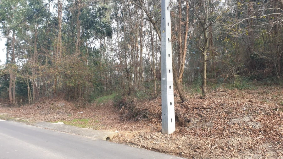 Terreno para Venda em Águeda e Borralha Foto 11