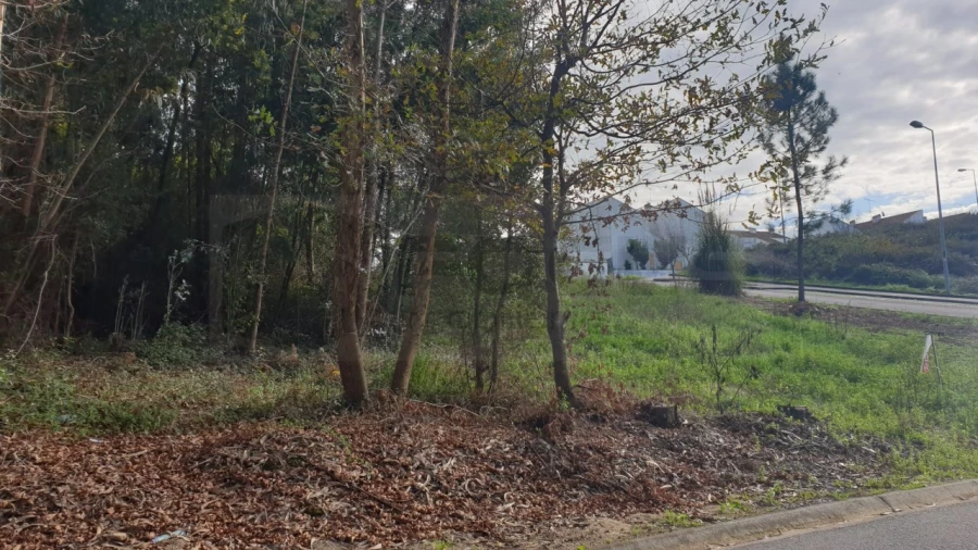 Terreno para Venda em Águeda e Borralha Foto 12