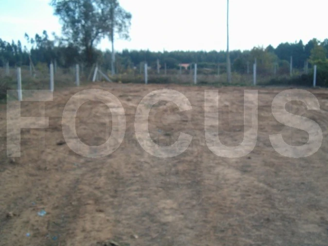 Terreno para Venda em Albergaria-A-Velha e Valmaior Foto 11