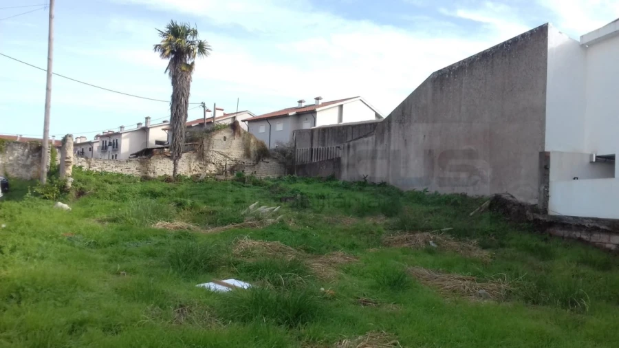 Terreno para Venda em Ílhavo (São Salvador) Foto 3