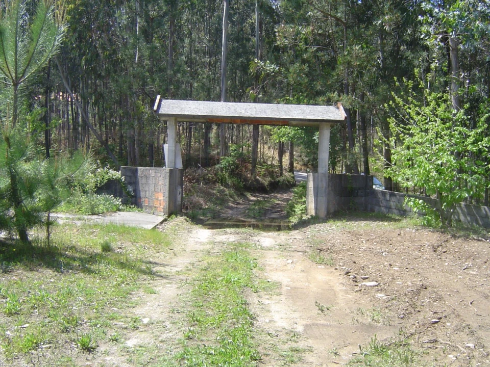 Terreno para Venda em Sever do Vouga Foto 1