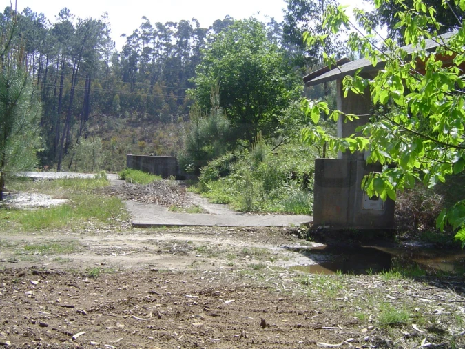 Terreno para Venda em Sever do Vouga Foto 5