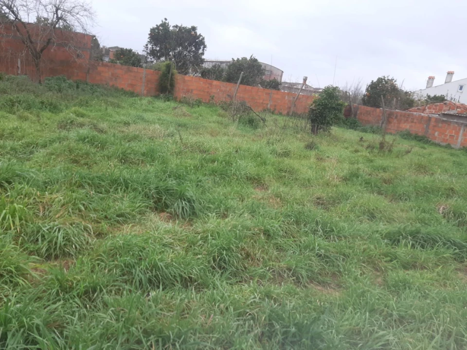 Terreno para Venda em Calvão Foto 2