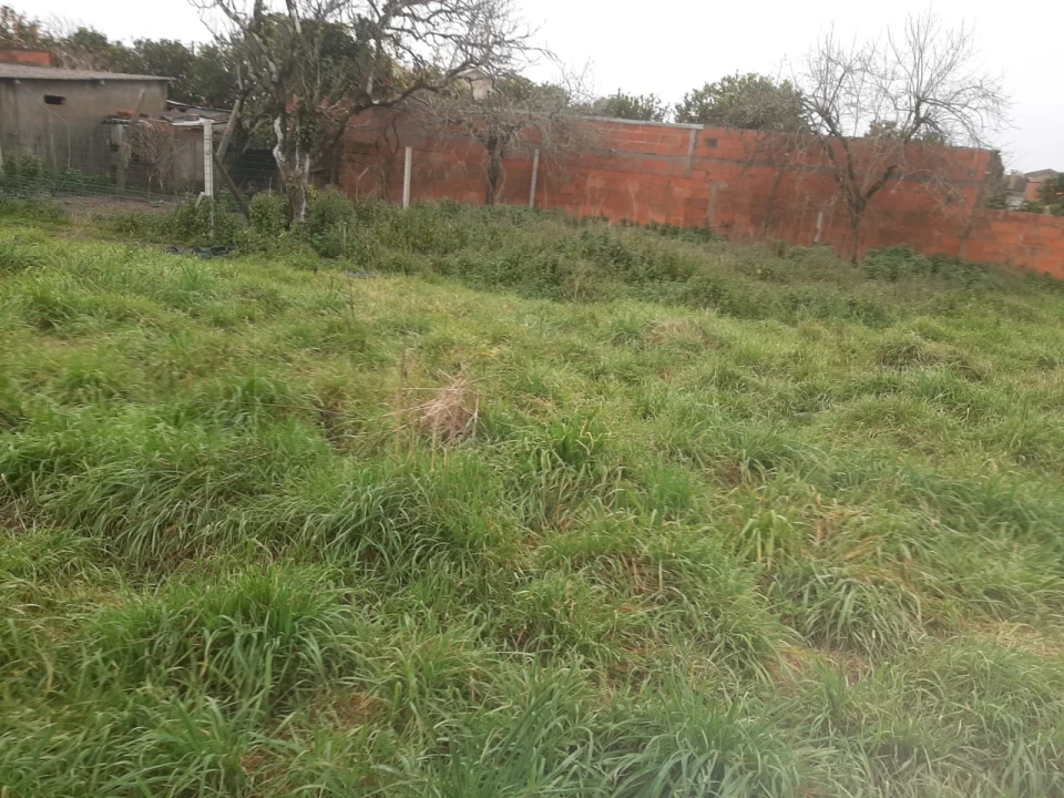 Terreno para Venda em Calvão Foto 1