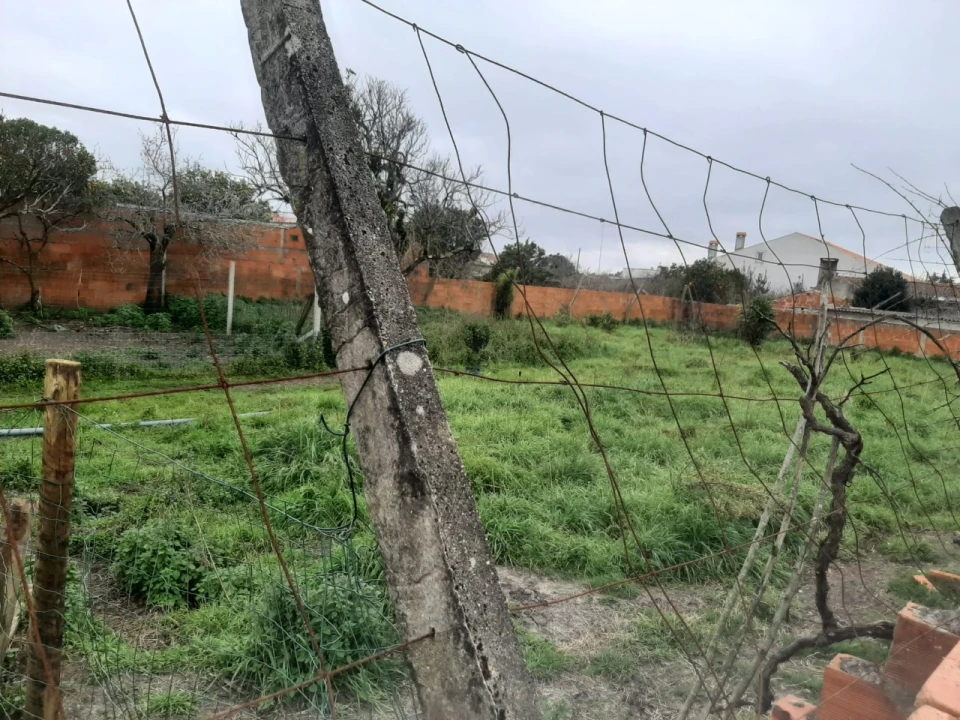 Terreno para Venda em Calvão Foto 6