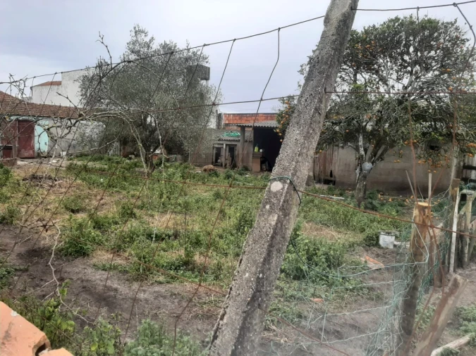 Terreno para Venda em Calvão Foto 8