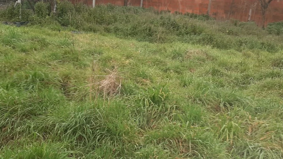 Terreno para Venda em Calvão