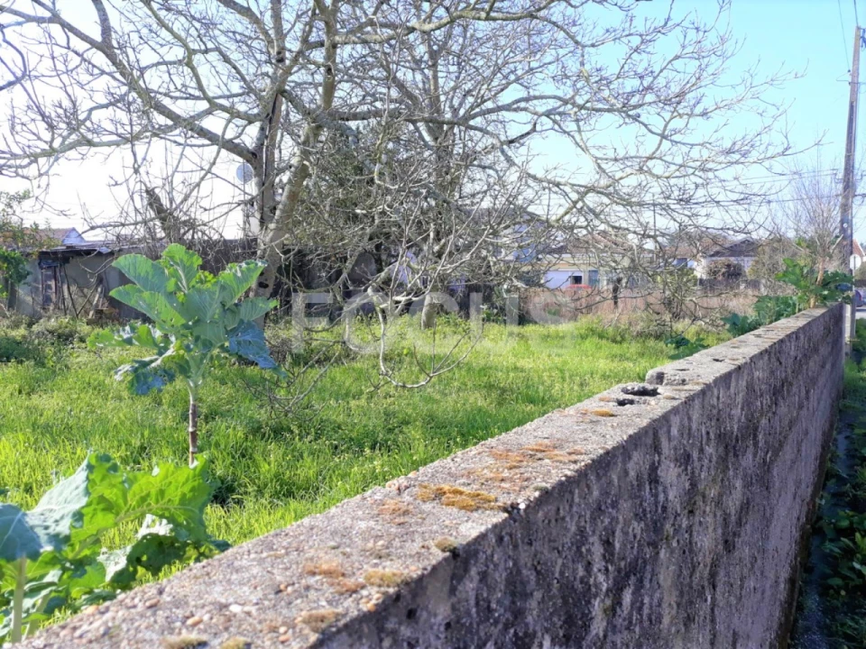 Terreno para Venda em Aradas Foto 1