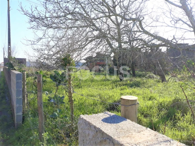 Terreno para Venda em Aradas Foto 2