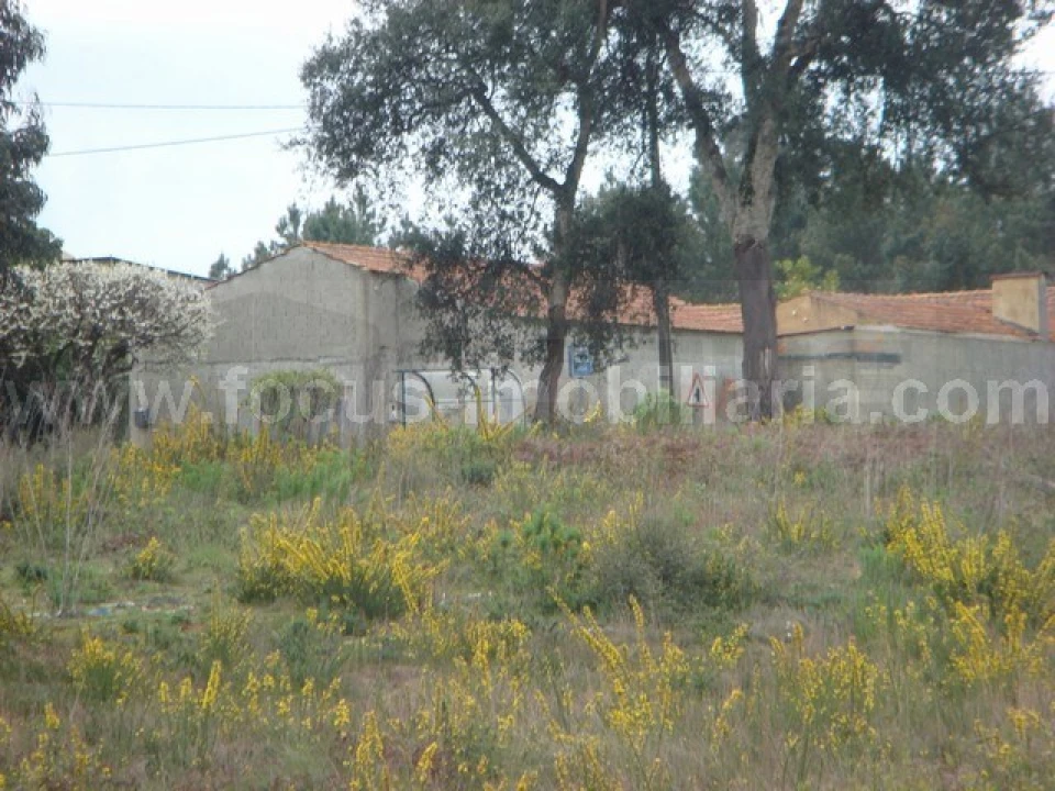 Terreno para Venda em Amoreira da Gândara, Paredes do Bairro e Ancas Foto 2