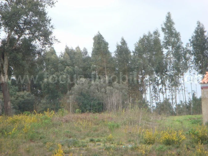 Terreno para Venda em Amoreira da Gândara, Paredes do Bairro e Ancas Foto 3