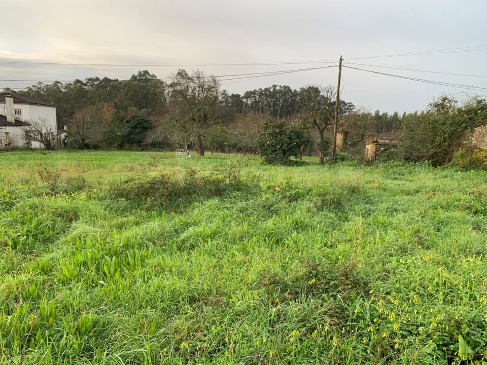Terreno para Venda em Beduído e Veiros Foto 4
