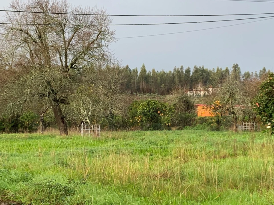 Terreno para Venda em Beduído e Veiros Foto 6