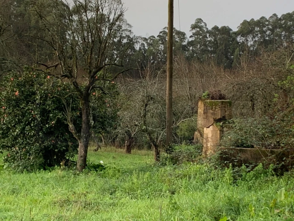 Terreno para Venda em Beduído e Veiros Foto 9