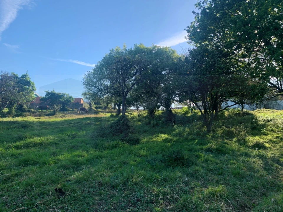 Terreno para Venda em Beduído e Veiros Foto 19