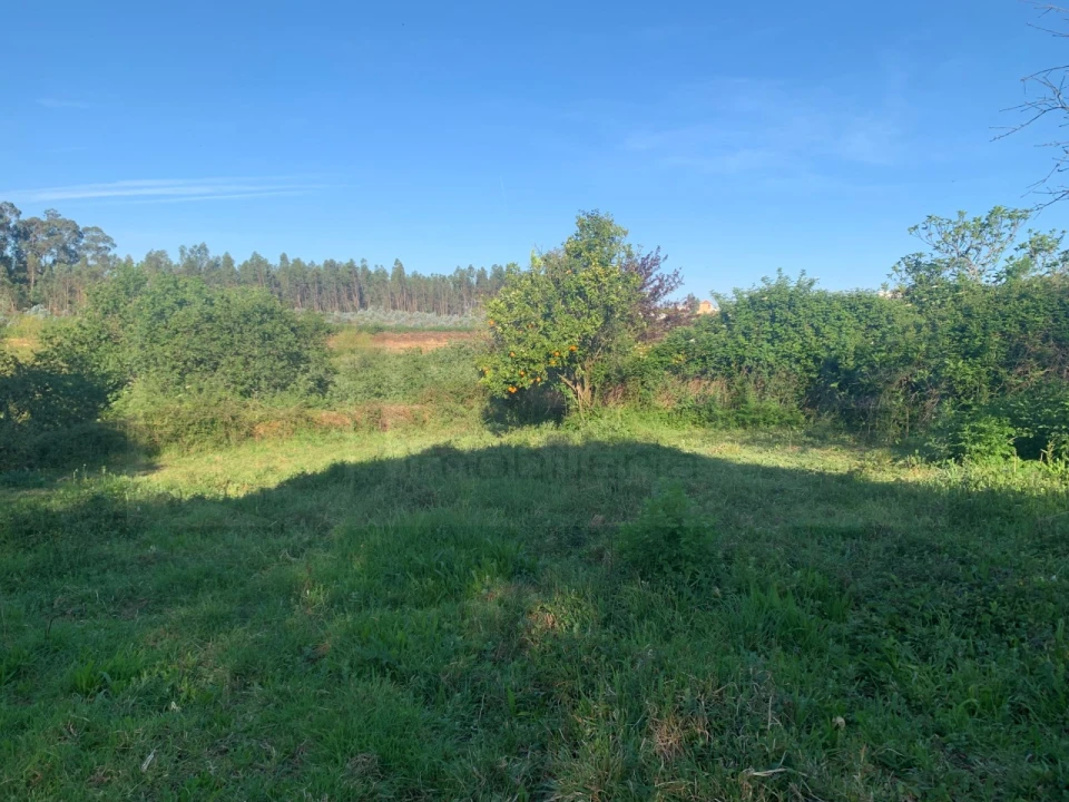 Terreno para Venda em Beduído e Veiros Foto 21
