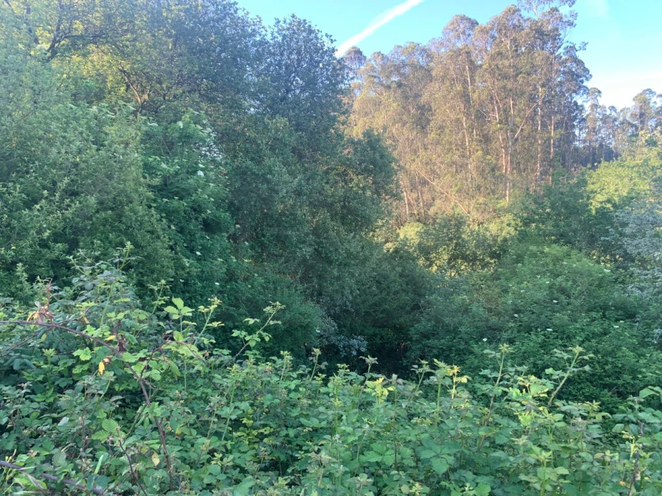 Terreno para Venda em Beduído e Veiros Foto 22