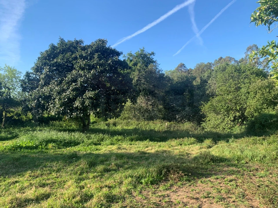 Terreno para Venda em Beduído e Veiros Foto 25