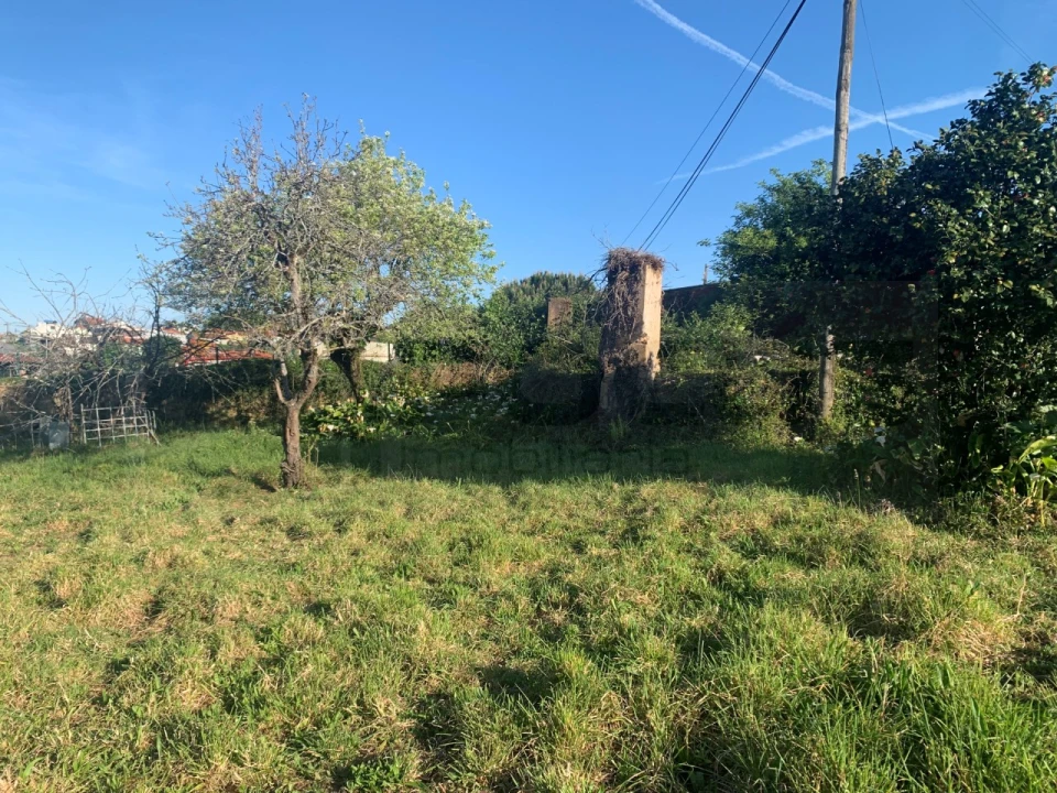 Terreno para Venda em Beduído e Veiros Foto 36