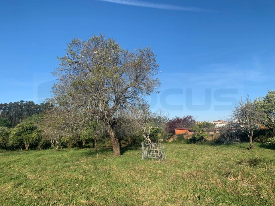 Terreno para Venda em Beduído e Veiros Foto 37