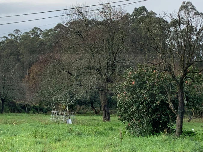 Terreno para Venda em Beduído e Veiros Foto 5