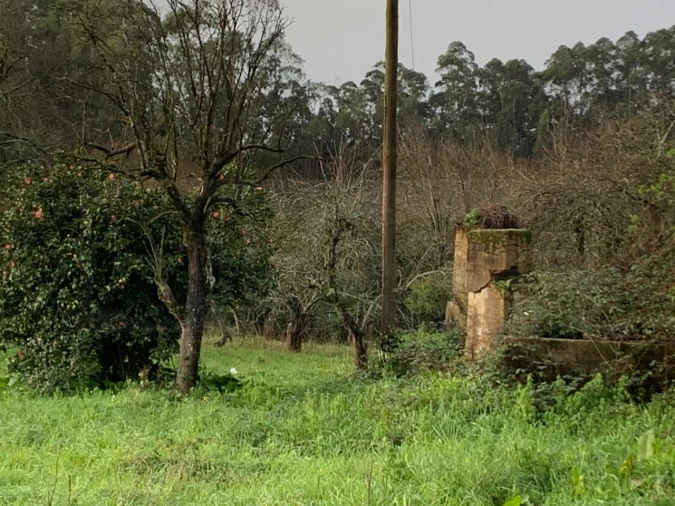 Terreno para Venda em Beduído e Veiros Foto 9