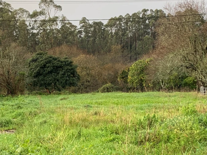 Terreno para Venda em Beduído e Veiros Foto 10