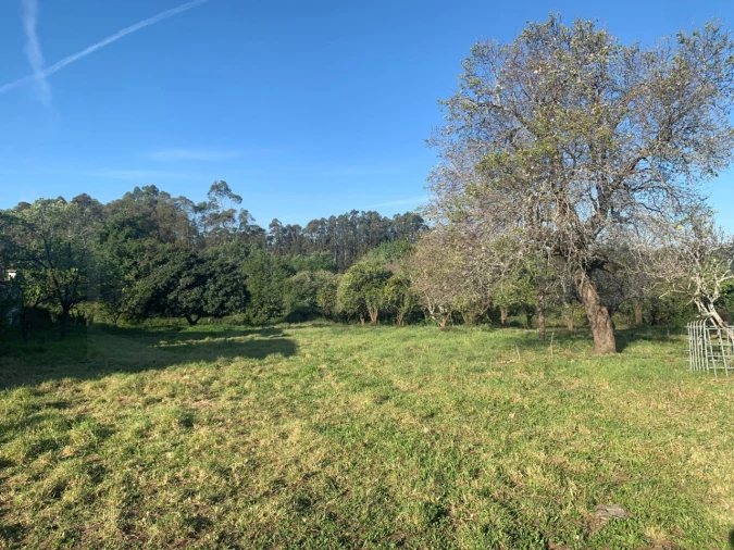 Terreno para Venda em Beduído e Veiros Foto 2