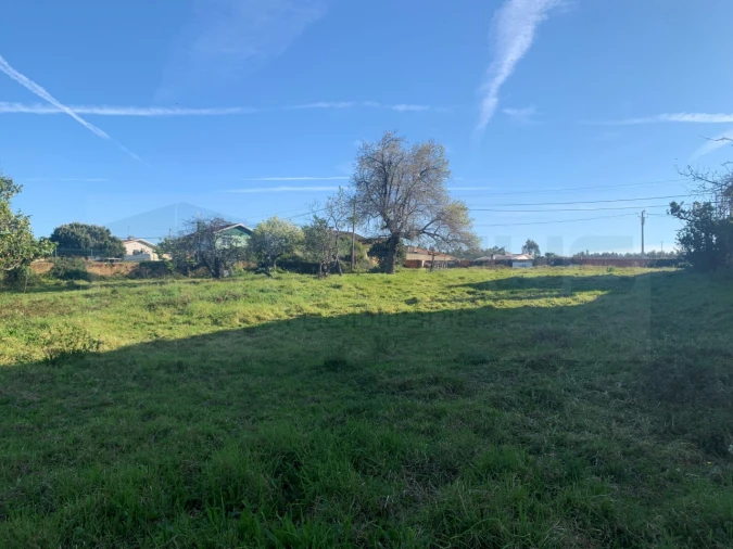 Terreno para Venda em Beduído e Veiros Foto 14