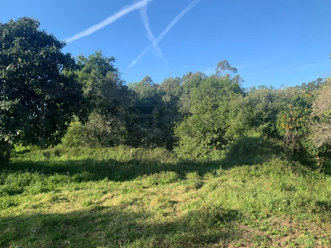 Terreno para Venda em Beduído e Veiros Foto 15