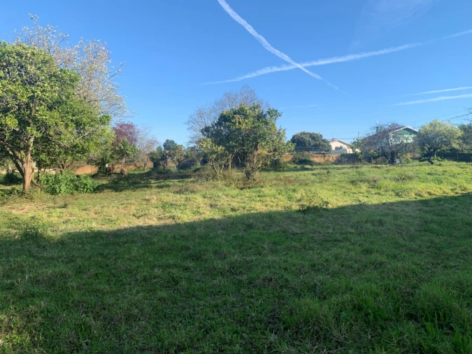 Terreno para Venda em Beduído e Veiros Foto 16