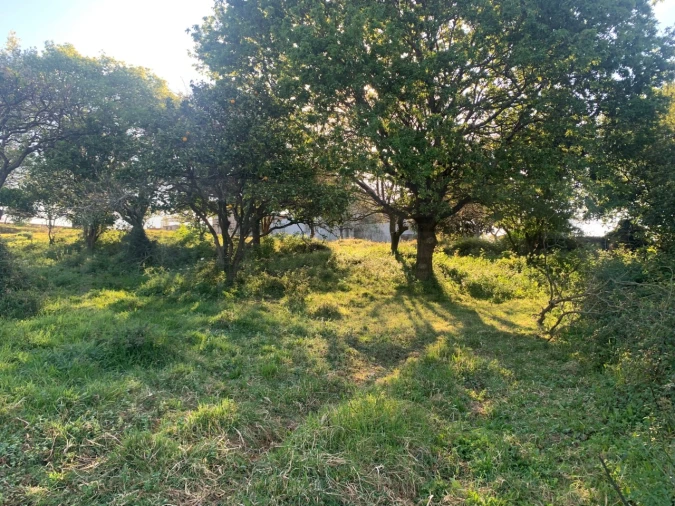 Terreno para Venda em Beduído e Veiros Foto 20