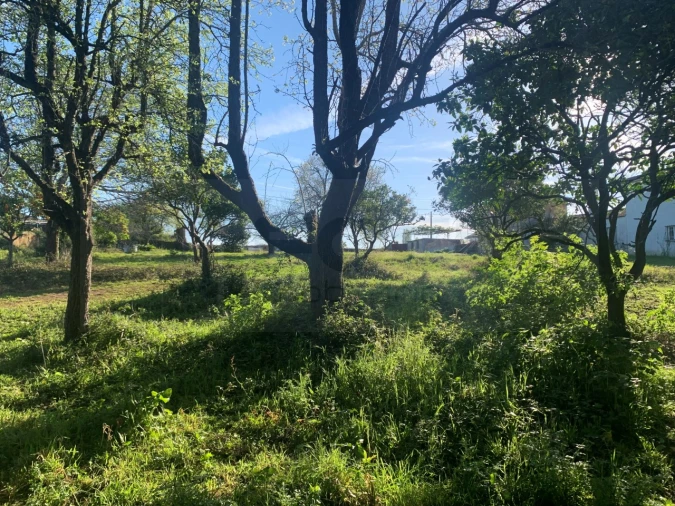 Terreno para Venda em Beduído e Veiros Foto 23