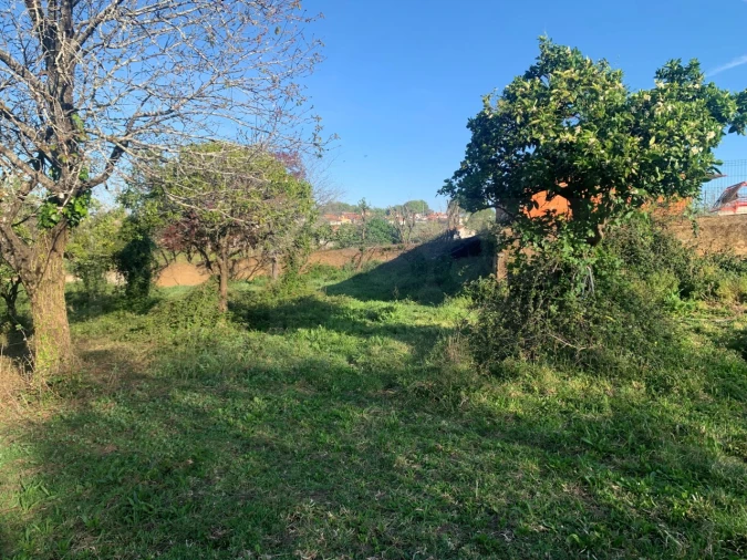 Terreno para Venda em Beduído e Veiros Foto 31