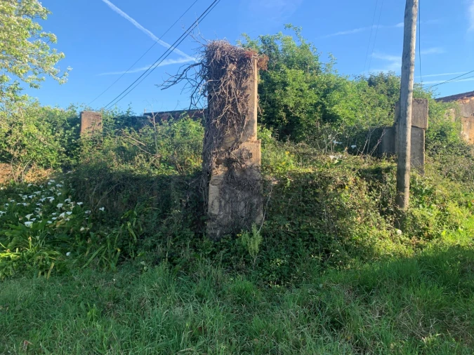 Terreno para Venda em Beduído e Veiros Foto 32