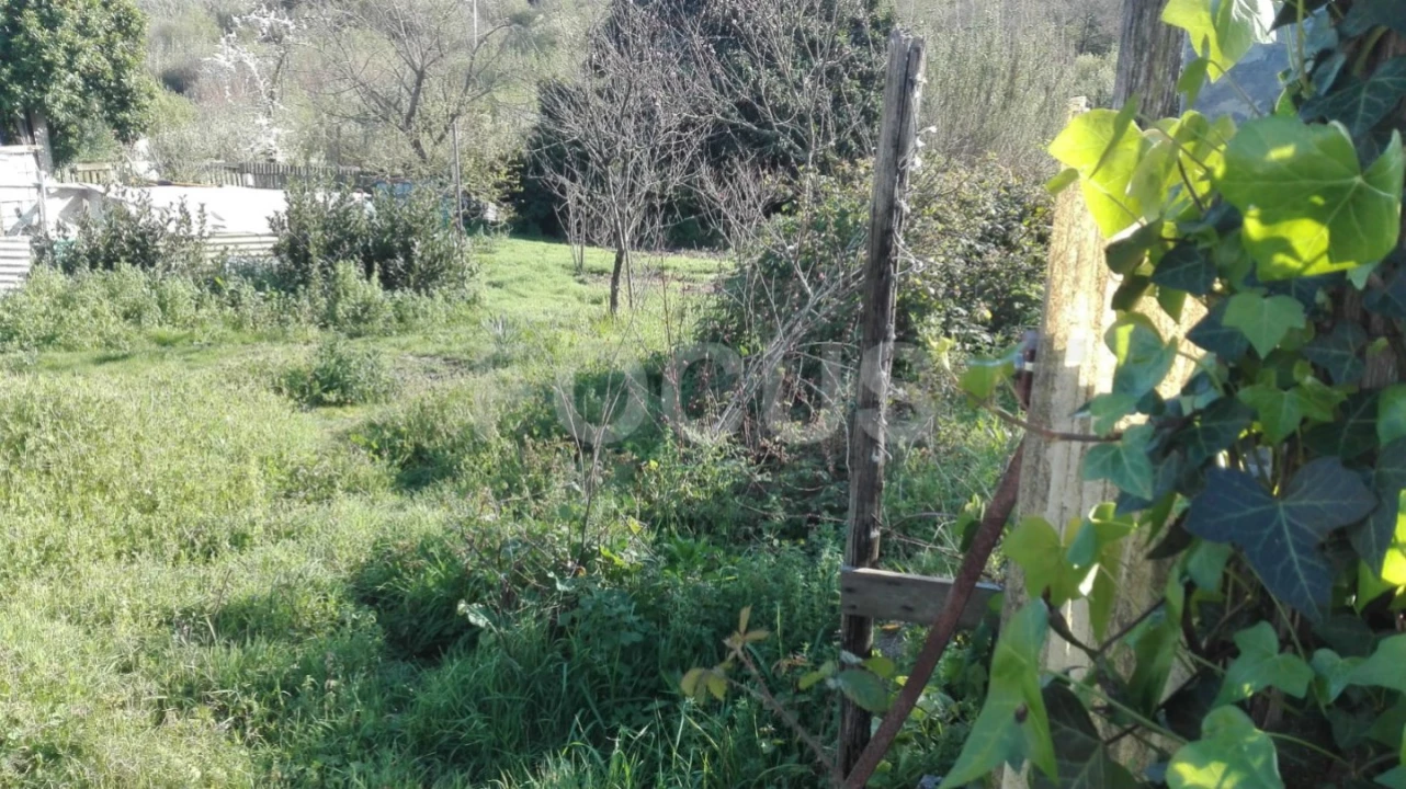 Terreno para Venda em Ílhavo (São Salvador) Foto 2