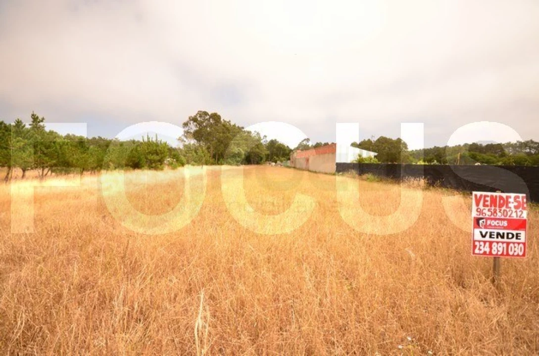 Terreno para Venda em Gafanha da Boa Hora Foto 3