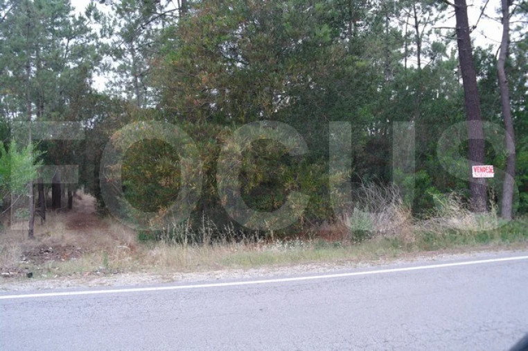 Terreno para Venda em Gafanha da Boa Hora Foto 5