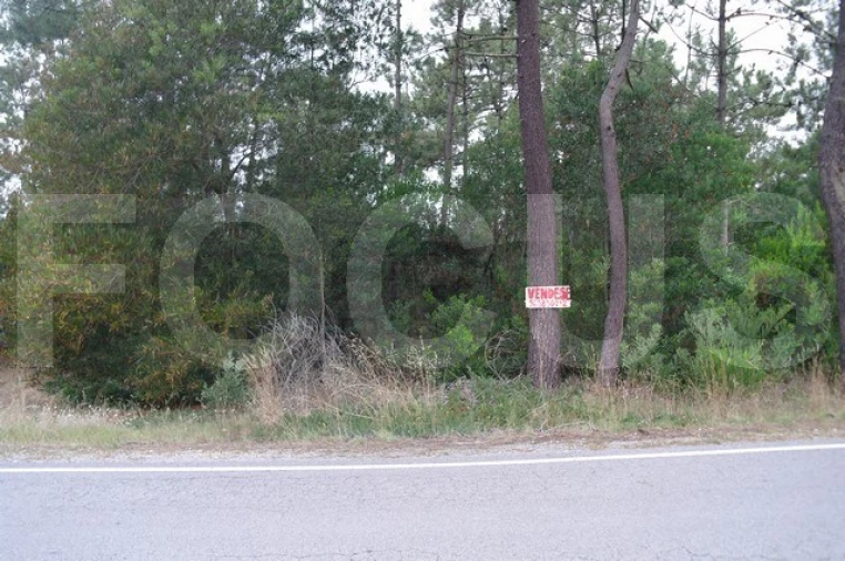 Terreno para Venda em Gafanha da Boa Hora Foto 6