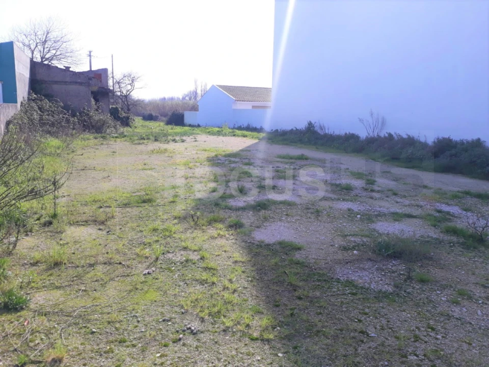 Terreno para Venda em Ílhavo (São Salvador) Foto 1