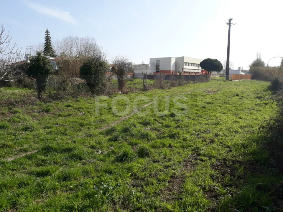 Terreno para Venda em Ílhavo (São Salvador) Foto 3