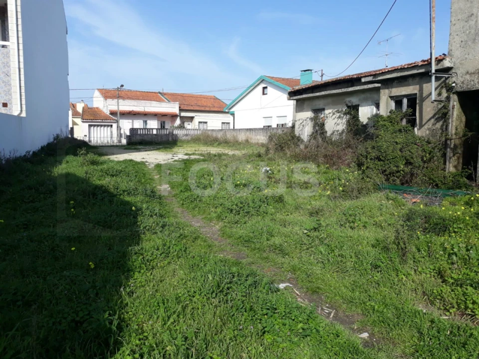Terreno para Venda em Ílhavo (São Salvador) Foto 4