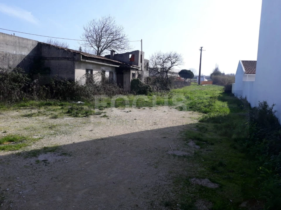 Terreno para Venda em Ílhavo (São Salvador) Foto 5