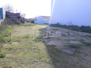 Terreno para Venda em Ílhavo (São Salvador)